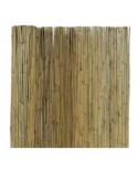 ARELLA CANNA PASSANTE 250 x 300 su TreG Ingrosso