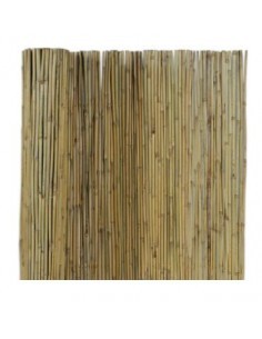 ARELLA CANNA PASSANTE 250 x 300 su TreG Ingrosso
