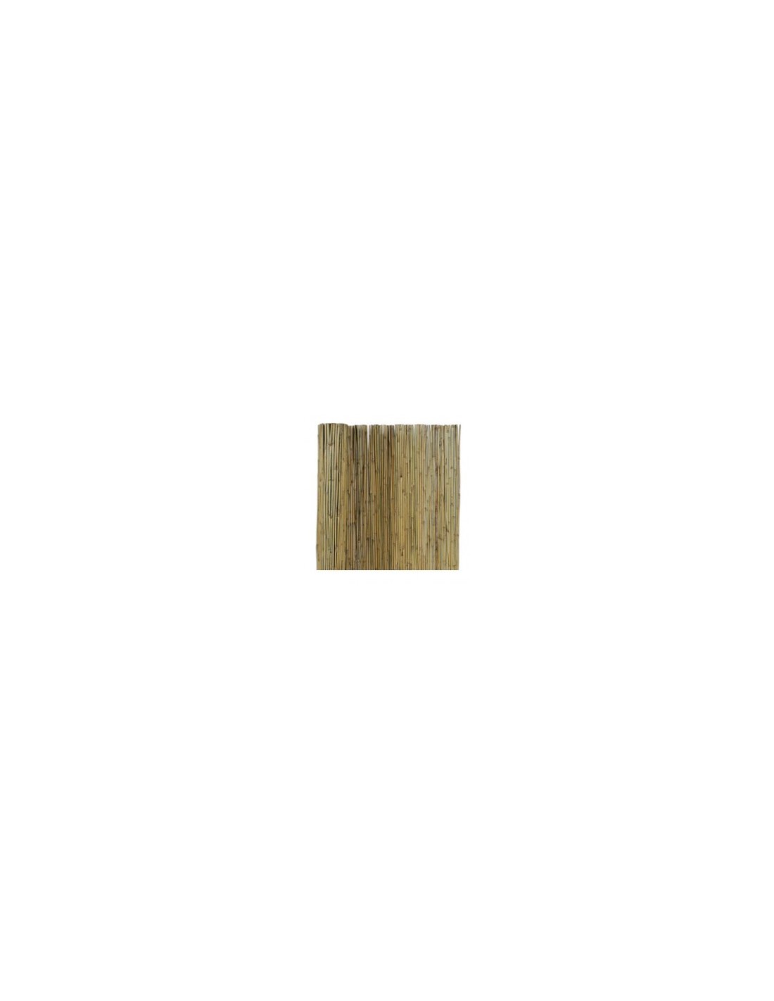ARELLA CANNA PASSANTE 250 x 300 su TreG Ingrosso