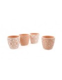 VASO 20614 COCCIO 13X13CM ASSORTITO su TreG Ingrosso