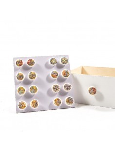 POMOLO 29754 TERRA DEL SOLE DECORI ASSORTITI su TreG Ingrosso