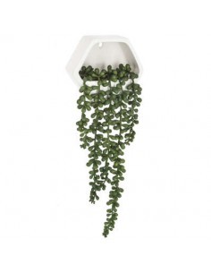 PIANTA 155634 RAMPICANTE CON SOSTEGNO 45CM su TreG Ingrosso