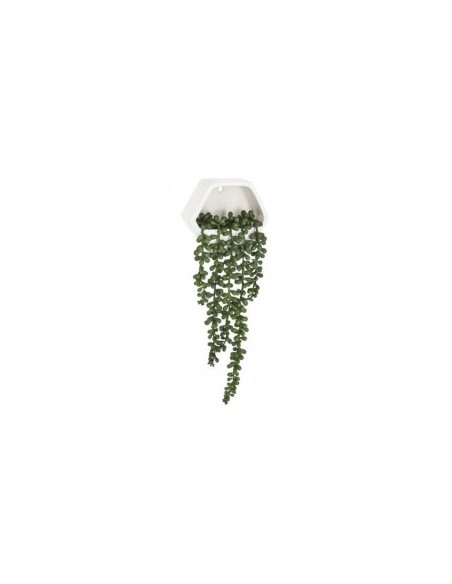 PIANTA 155634 RAMPICANTE CON SOSTEGNO 45CM su TreG Ingrosso