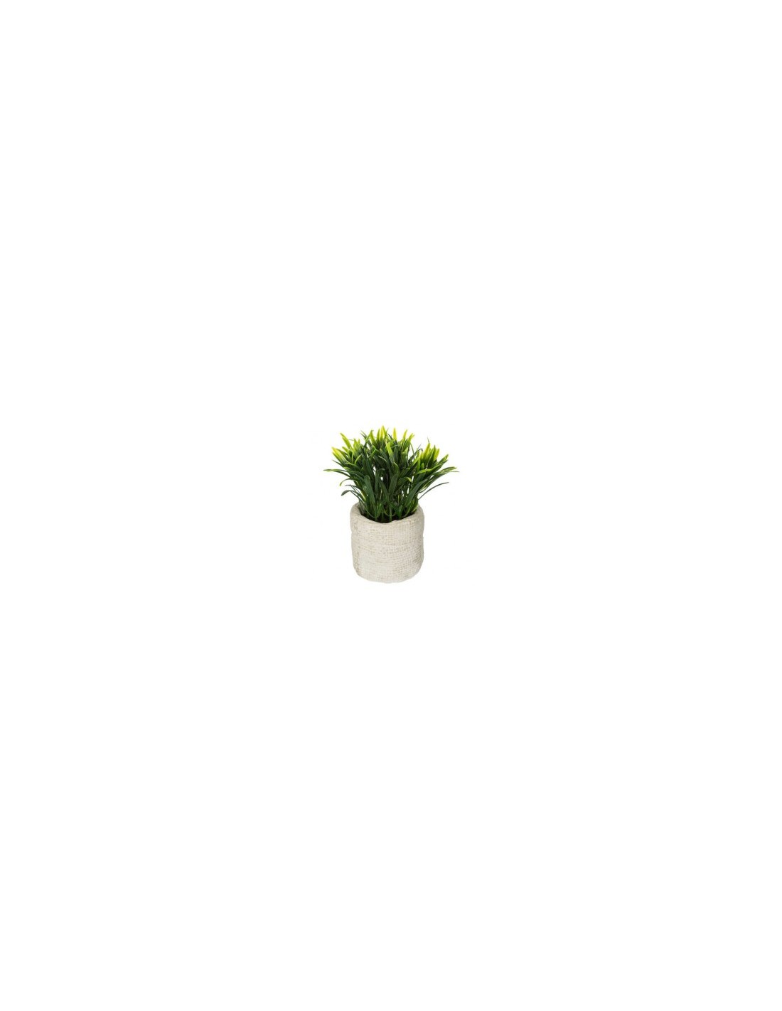 PIANTA 160067 VERDE IN VASO 12X16CM su TreG Ingrosso