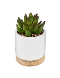 PIANTA 164284 VASO CERAMICA/LEGNO 9X12CM su TreG Ingrosso