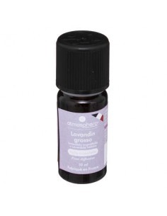 OLIO ESSENZIALE 184734B EUCALIPTO 10ML su TreG Ingrosso