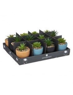 PIANTA 185449 VASO CON SUPPORTO 8X12CM ASSORTITO su TreG Ingrosso