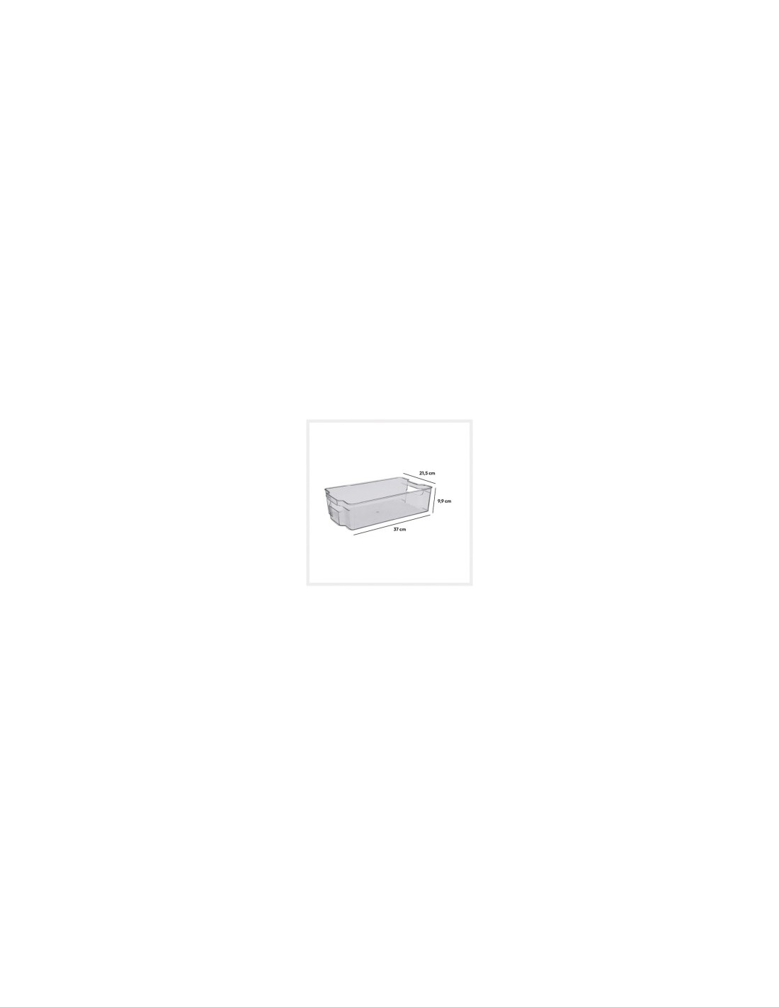 SCATOLA FRIGO 135151 37X22CM 8LT su TreG Ingrosso