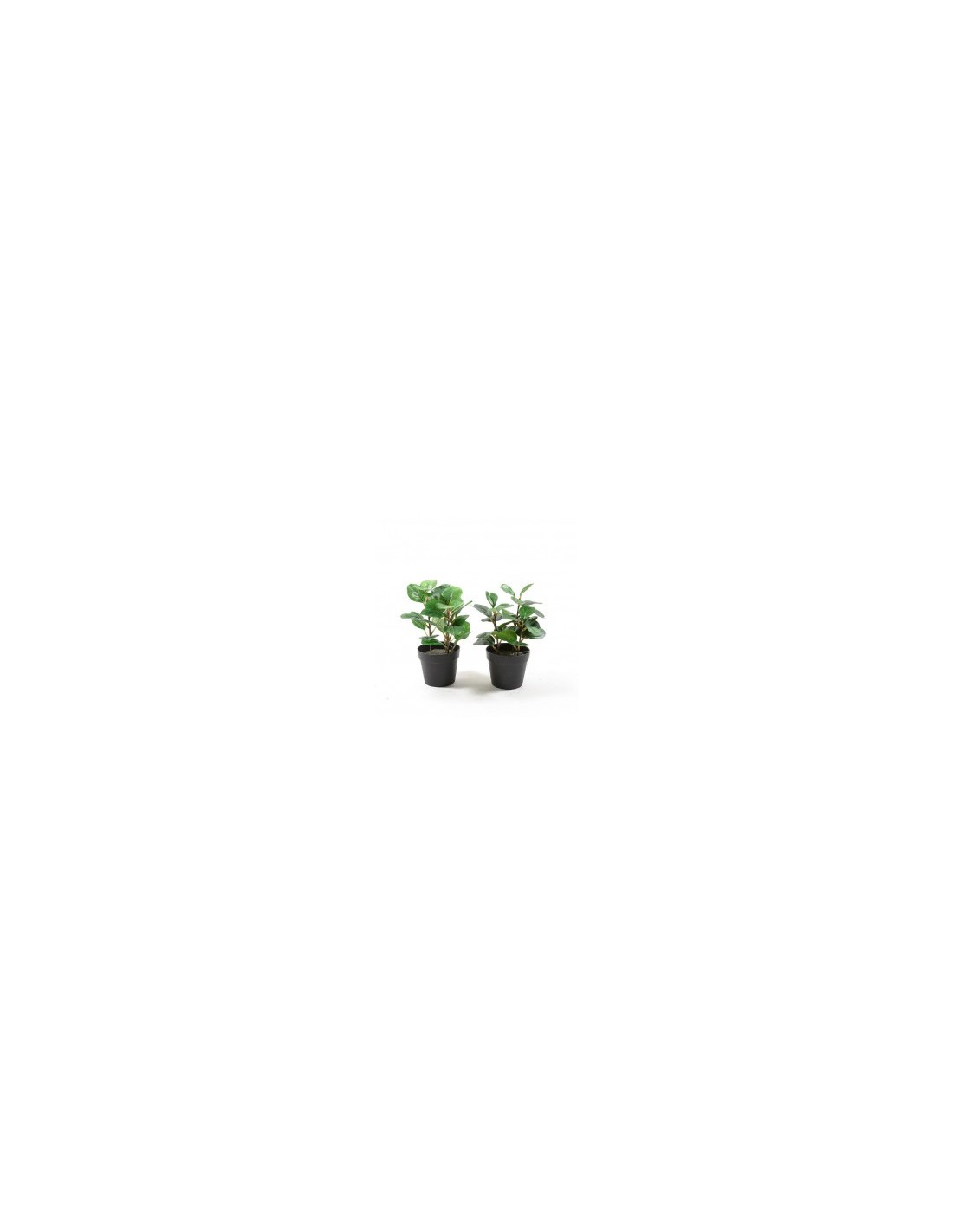PIANTA 11292 VASO PLASTICA 23CM ASSORTITO su TreG Ingrosso
