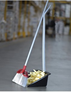 RACCOGLISPORCO 10032 PROFESSIONAL CON MANICO su TreG Ingrosso