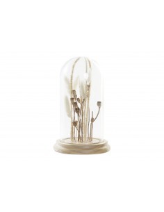 FIORI SECCHI FD193639 CAMPANA VETRO 13X13X22CM su TreG Ingrosso