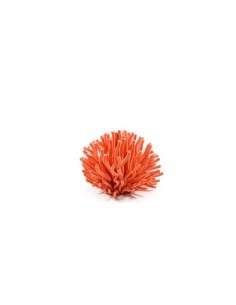 SCULTURA 25251 CORALLO 22X17CM su TreG Ingrosso