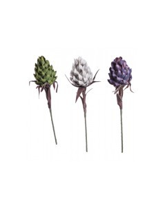 PIANTA 68595 PITAYA 90CM COLORI ASSORTITI su TreG Ingrosso