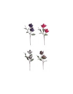 PIANTA 68601 PROTEA PRINCE 2 FIORI 109CM ASSORTITO su TreG Ingrosso