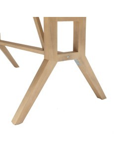 TAVOLO 171145 PAPUASIA 220X100X75CM LEGNO su TreG Ingrosso
