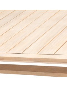TAVOLO 171145 PAPUASIA 220X100X75CM LEGNO su TreG Ingrosso