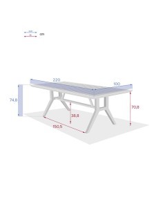 TAVOLO 171145 PAPUASIA 220X100X75CM LEGNO su TreG Ingrosso