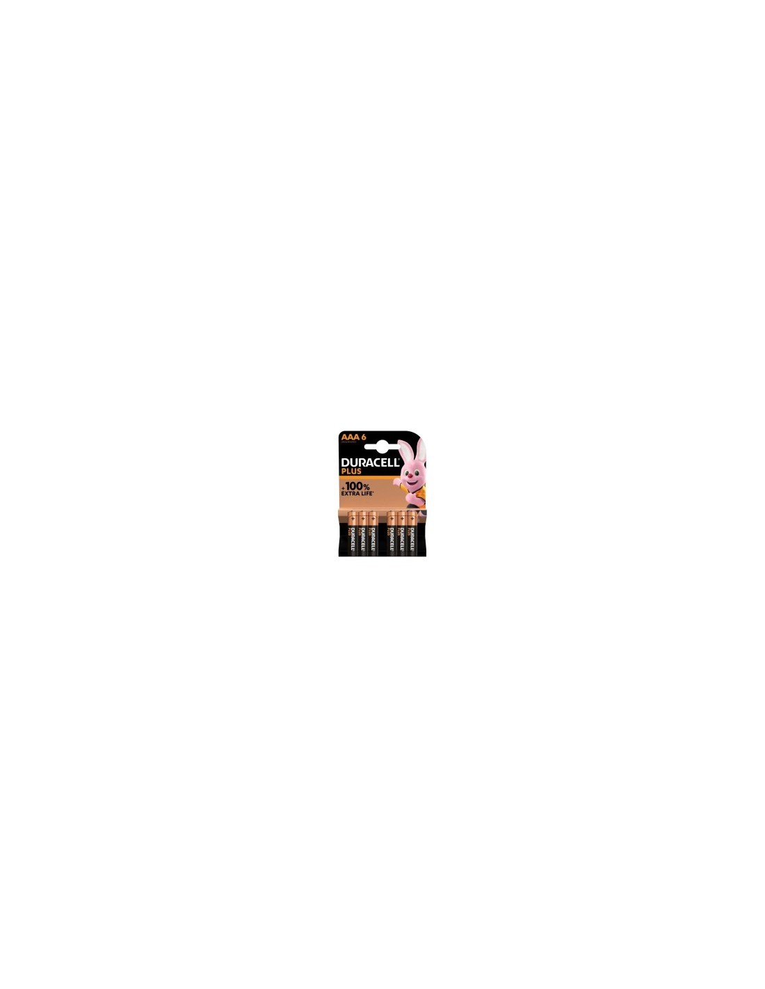 DURACELL BL 6 PILE MINISTILO AAA su TreG Ingrosso