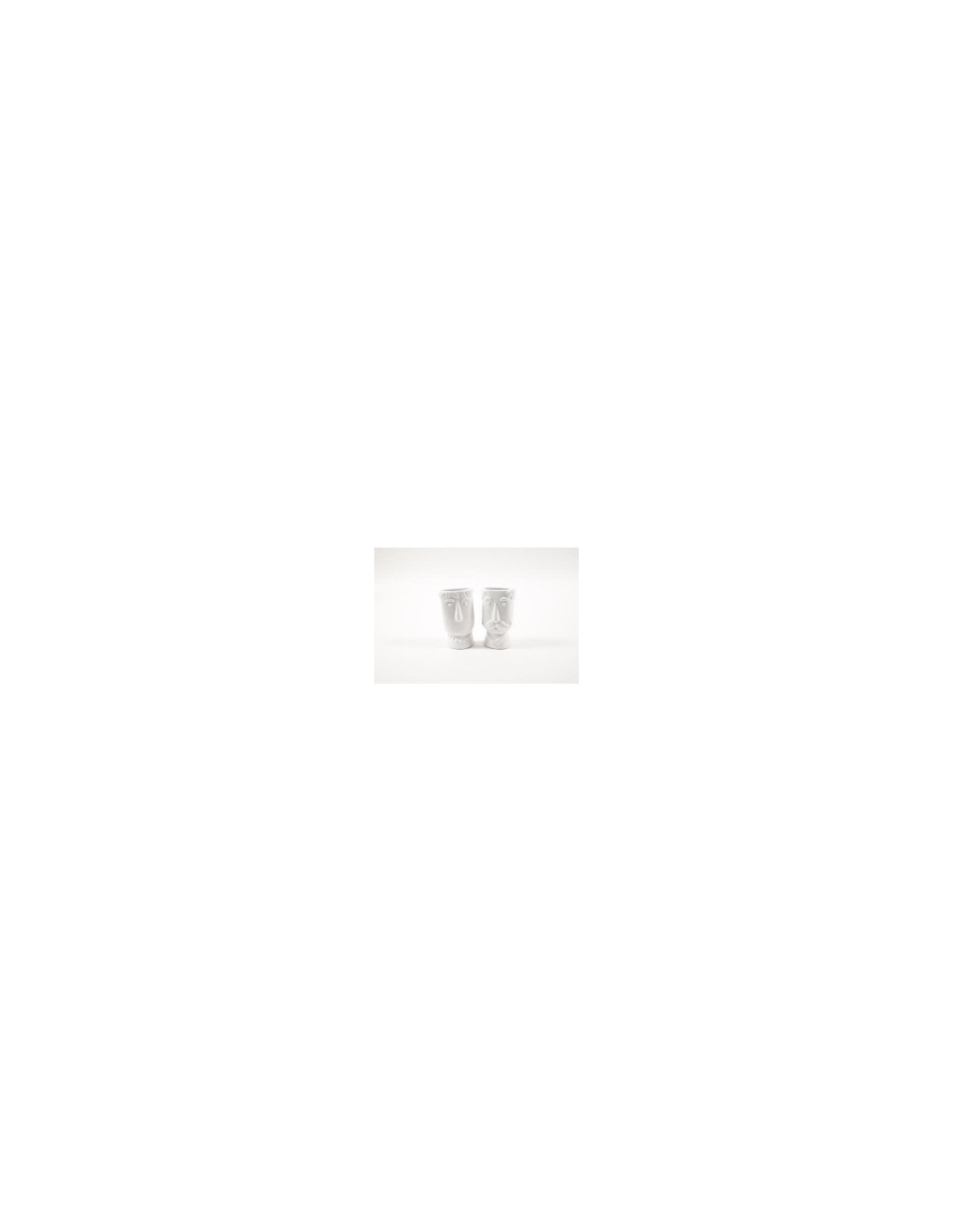 EVAPORATORE 87116 FACE CERAMICA 9X5,5X16,5CM ASSORTITO su TreG Ingr...