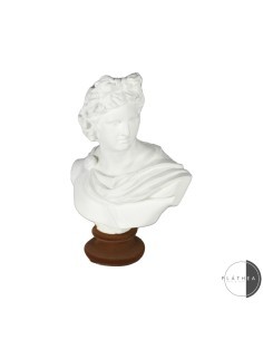 MEZZO BUSTO BIANCO PORTAFIORE H15CM RESINA