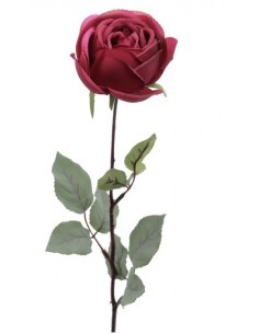 ROSA 4690 ASSORTITO su TreG Ingrosso