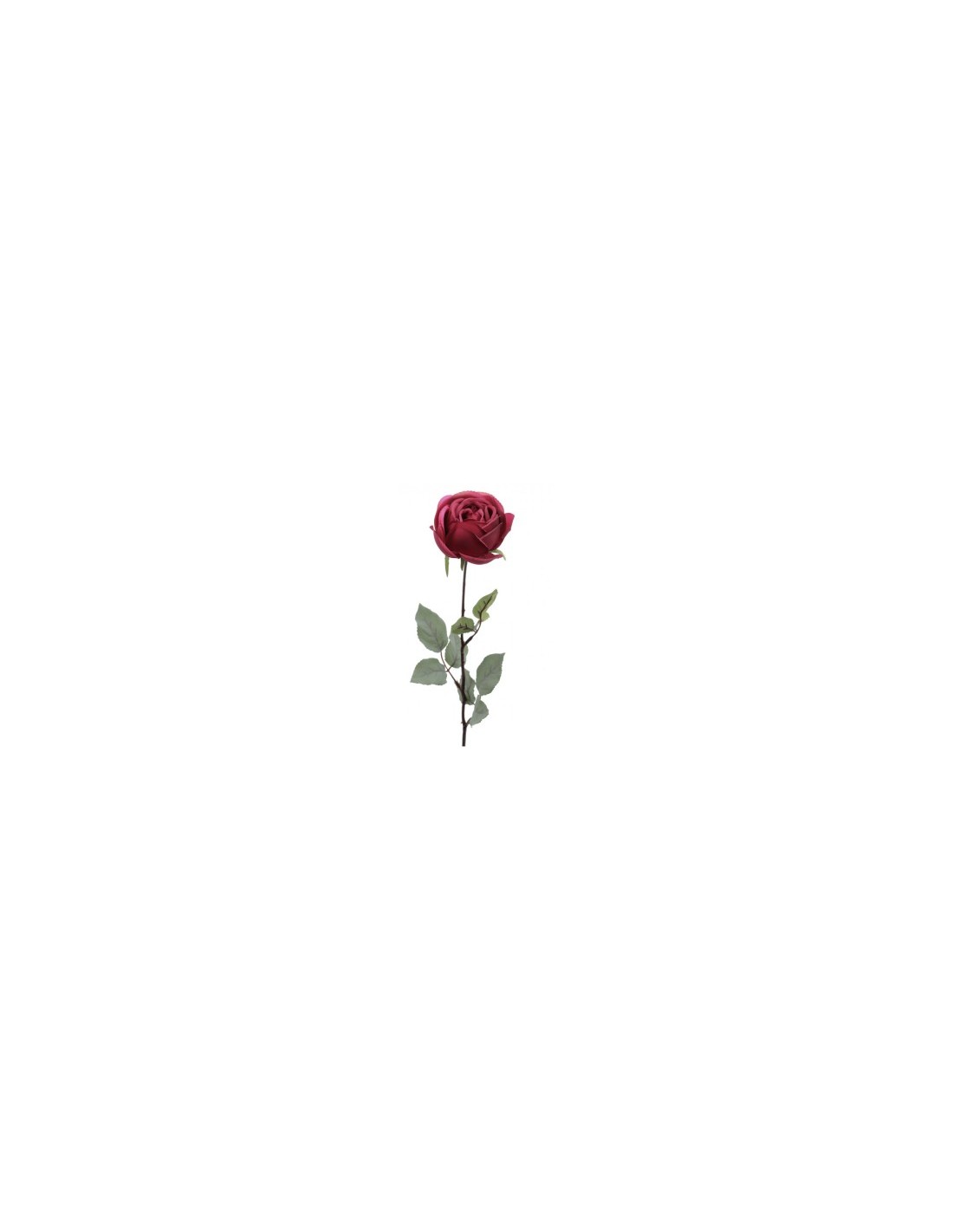 ROSA 4690 ASSORTITO su TreG Ingrosso