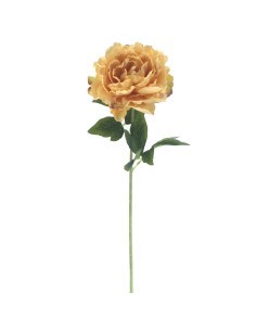 PEONIA 9552 HERITAGE ASSORTITO su TreG Ingrosso