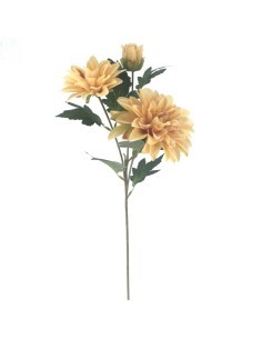 DAHLIA 9554 X3 HERITAGE ASSORTITO su TreG Ingrosso