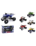 QUAD GIAPPONESE 1:12 ASSORTITO 57503I su TreG Ingrosso