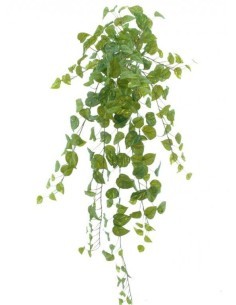 COLGANTE POTHOS 4071 1MT su TreG Ingrosso