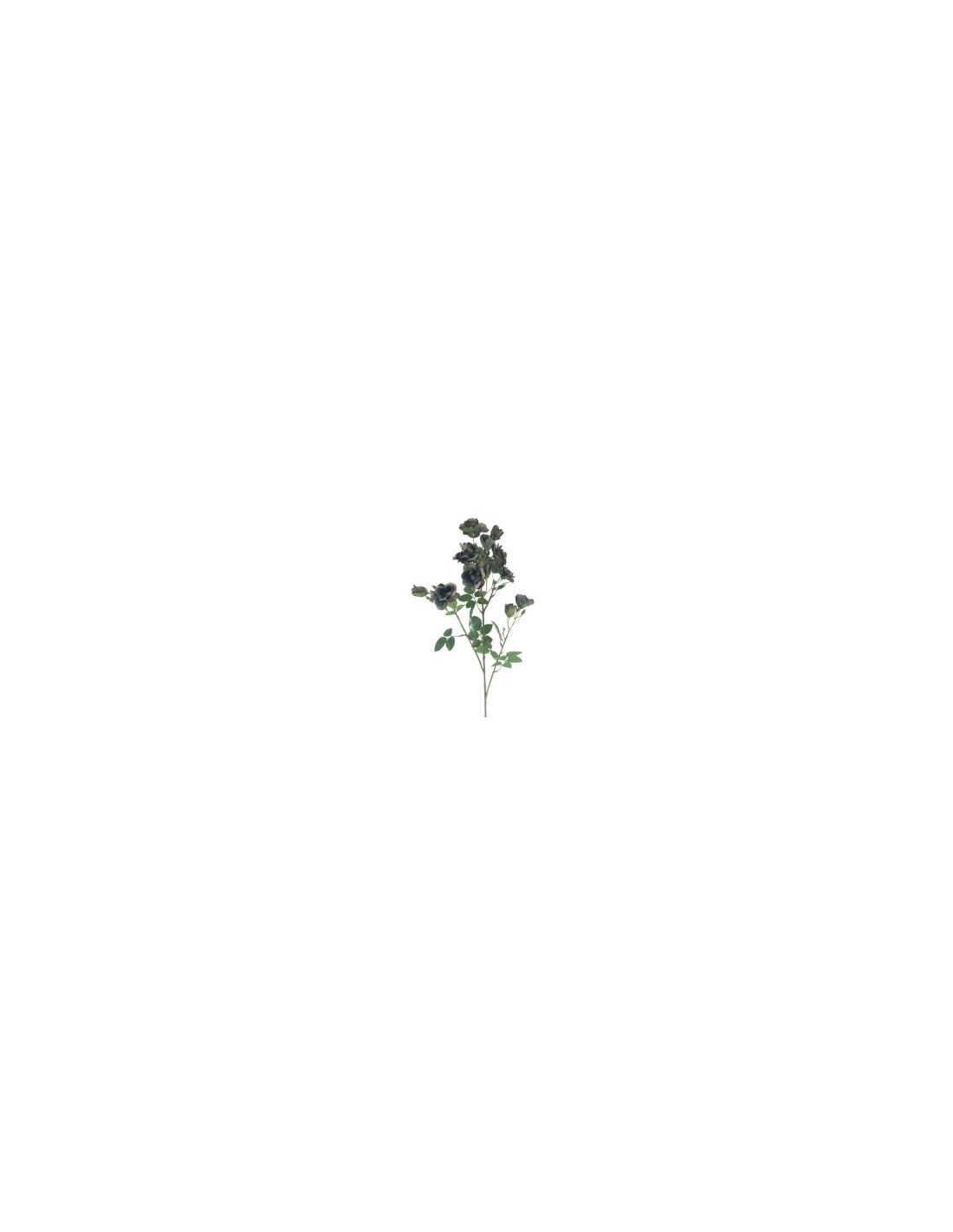 ROSITA CRIMSON HERITAGE 9555 ASSORTITO su TreG Ingrosso