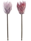 FIORE JA189222 PLASTICA/FERRO H60CM ASSORTITO su TreG Ingrosso
