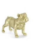 DECORAZIONE PUPPY 0183100 BULLDOG ORO su TreG Ingrosso