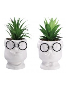 PIANTA GRASSA 82304 CON VASO 10X21CM ASSORTITO su TreG Ingrosso