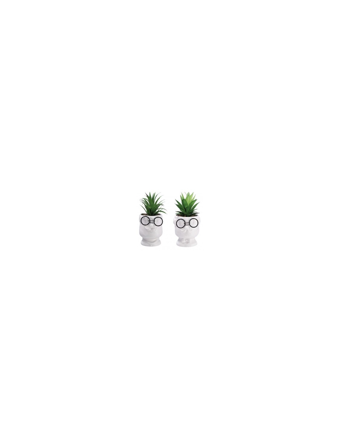 PIANTA GRASSA 82304 CON VASO 10X21CM ASSORTITO su TreG Ingrosso