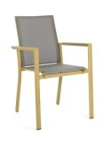 SEDIA 0663300 KONNOR SENAPE CON BRACCIOLI su TreG Ingrosso