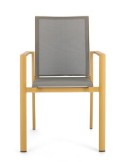 SEDIA 0663300 KONNOR SENAPE CON BRACCIOLI su TreG Ingrosso