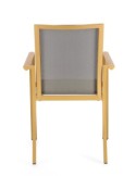 SEDIA 0663300 KONNOR SENAPE CON BRACCIOLI su TreG Ingrosso