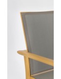 SEDIA 0663300 KONNOR SENAPE CON BRACCIOLI su TreG Ingrosso
