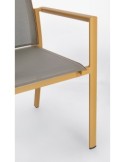 SEDIA 0663300 KONNOR SENAPE CON BRACCIOLI su TreG Ingrosso