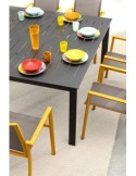 SEDIA 0663300 KONNOR SENAPE CON BRACCIOLI su TreG Ingrosso