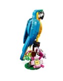 CREATOR PAPPAGALLO ESOTICO 31136 su TreG Ingrosso