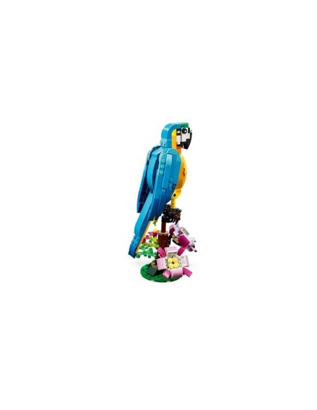 CREATOR PAPPAGALLO ESOTICO 31136 su TreG Ingrosso