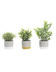 PIANTA JA200681 VASO CEMENTO 16X16X28CM ASSORTITO su TreG Ingrosso