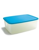 PATTUMIERA 40LT GIALLA CON MANIGLIONE su TreG Ingrosso