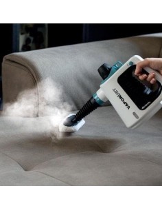 VAPORETTO 4137 VAPORIJET su TreG Ingrosso