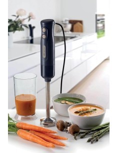 FRULLATORE IMMERSIONE 601 LAME INOX 700W su TreG Ingrosso