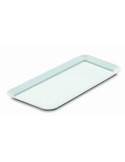 VASCHETTA RETTANGOLARE PER SALUMI 42X23X2,5 CM GIGANPLAST su TreG I...