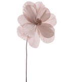MAGNOLIA NICOLE CHAMPAGNE 26X50CM su TreG Ingrosso