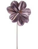 MAGNOLIA NICOLE MARRONE 26X50H su TreG Ingrosso